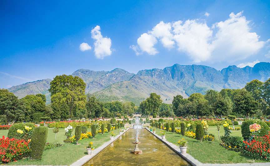 exotic kashmir tour it